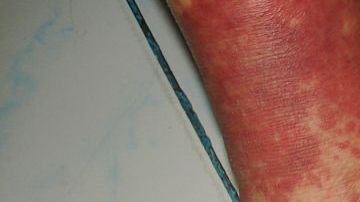 shutterstock_1024350280