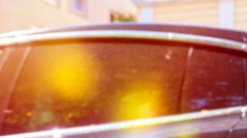 shutterstock_1105399385