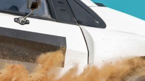 shutterstock_1233863956