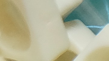 shutterstock_1234804132