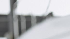 shutterstock_1375160051