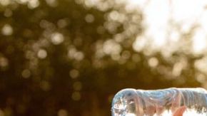 Una de las formas de mantenerte saludable es a través de la hidratación, también es un gran remedio para eliminar toxinas, bajar de peso y cuidar la salud cardiovascular.