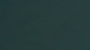 Uno de cada cinco neoyorquinos sufre de una enfermedad mental.