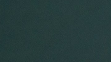 Uno de cada cinco neoyorquinos sufre de una enfermedad mental.