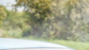 shutterstock_1426529438