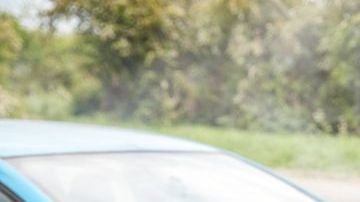 shutterstock_1426529438