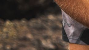 shutterstock_1428171905