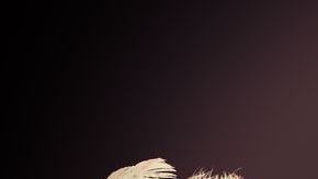 A todos los padres: La selección de disfraces debe ser riguroso y buscando siempre el bienestar de los menores.