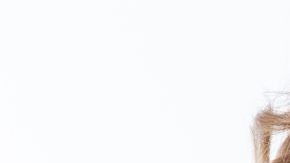 shutterstock_226204987