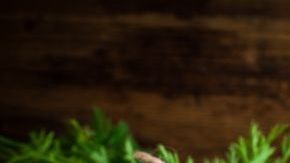 shutterstock_250834906