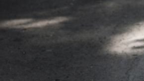 shutterstock_442624465