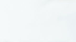 shutterstock_494862394