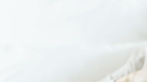 shutterstock_494862394