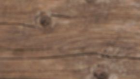 shutterstock_557593423