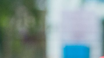 shutterstock_565236667