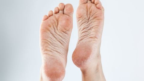 shutterstock_584334274