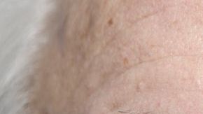 shutterstock_603714317