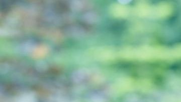 shutterstock_671185213