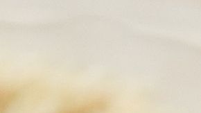 La memoria es una forma de detectar la salud cerebral, aunque muchas veces no le demos importancia es clave promover los hábitos y alimentación correcta para su óptimo funcionamiento.