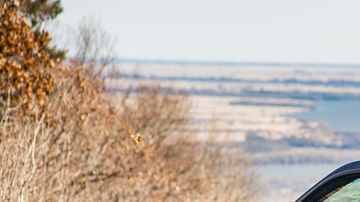 shutterstock_727973599