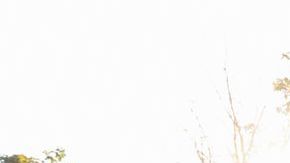 shutterstock_794060560