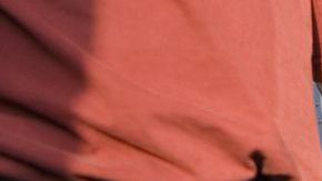 shutterstock_82804147