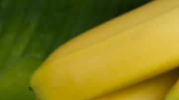 Poderosa bebida que aumenta el rendimiento físico y mental, mejora los estados de fatiga y fomenta la buena memoria.