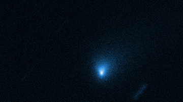 Secuencia de lapso de tiempo que comprime las observaciones del cometa 2I / Borisov, del Telescopio Espacial Hubble.