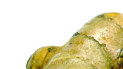 La cúrcuma es una poderosa planta digestiva, recomendada para digerir mejor los alimentos. Su consumo esta recomendado en casos de dispepsias, indigestiones y gases.