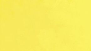 La mandarina es popular por su extraordinario aporte en antioxidantes que combaten los radicales libres y protegen al organismo contra las enfermedades degenerativas.