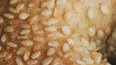 carbohidratos