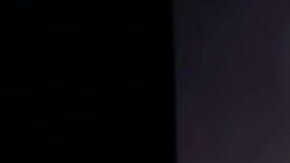 Homenaje a José José