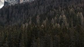 El conductor instaló un dispositivo para engañar el sistema de seguridad de Tesla