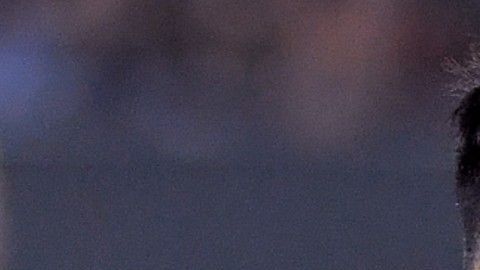 Vela y sus compañeros fueron frustrados por un recio aparato defensivo del equipo visitante, que enfrentará a Atlanta o Toronto.