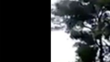 VIDEO: Efecto Ovidio le pega a AMLO, ahora detienen y liberan a líder de Los Viagras enemigo del CJNG