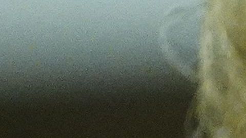 Donald Trump busca por todos los medios evitar presentar sus finanzas.