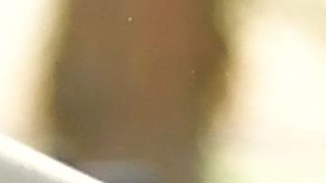 El reciente tiroteo en una escuela de Santa Clarita dejó dos víctimas.