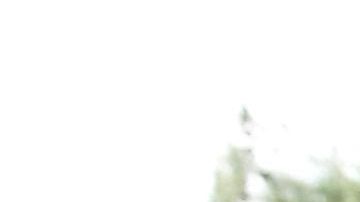 Las escuelas siguen siendo los espacios más seguros para menores.