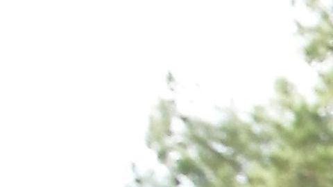 Estudiantes de la secundaria Saugus, tras el tiroteo del  14 de noviembre.