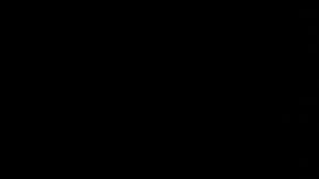 Muchos republicanos se cuidan de enfrentar a Trump.