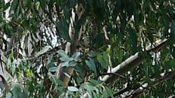 Los pozos están cerca de áreas residenciales y de escuelas.