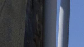 Nebraska compartirá los datos que aparecen en las licencias de manejo.