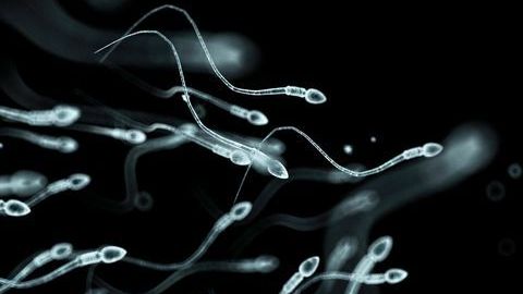 Esperma.