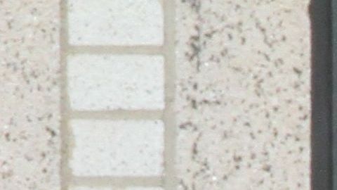 La familia pudo volver finalmente a Michigan.