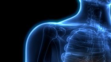 El hígado es el órgano más grande del cuerpo humano.