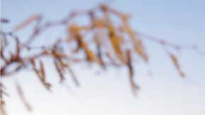 Los familiares de las víctimas frente a uno de los vehículos que resultó incendiado en la emboscada.