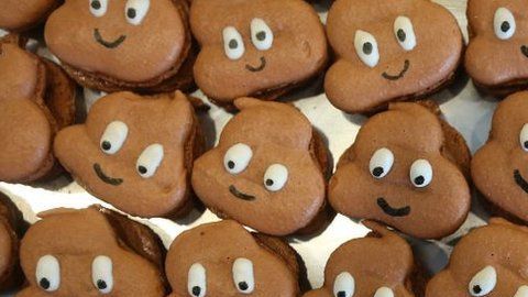 Las heces pueden revelar mucha información sobre los hábitos alimenticios y estilo de vida de las comunidades.