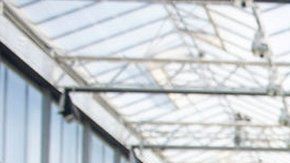 Se puede cultivar cannabis de forma legal en varios estados en Estados Unidos.