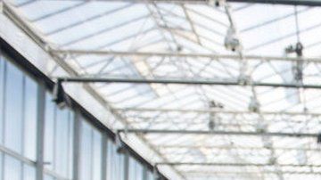 Se puede cultivar cannabis de forma legal en varios estados en Estados Unidos.