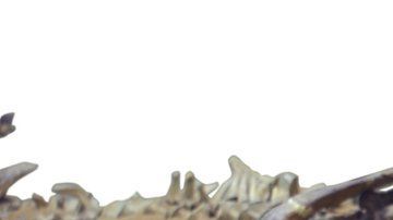 Los dinosaurios murieron hace cerca de 66 millones de años.